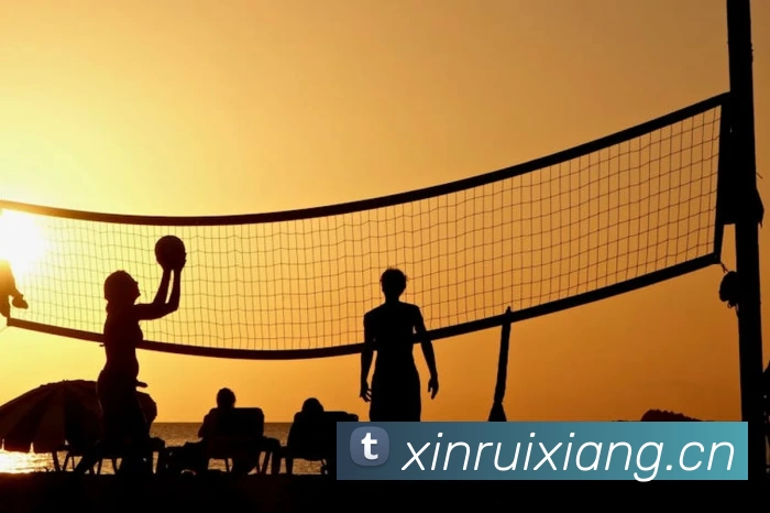 App Interface Preview